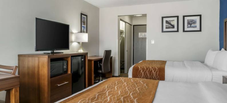 东部舒适酒店(Comfort Inn East)图片