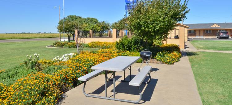 Capital O 66号公路乡村旅馆维加岛Tx(Capital O Route 66 Country Inn Vega TX)图片