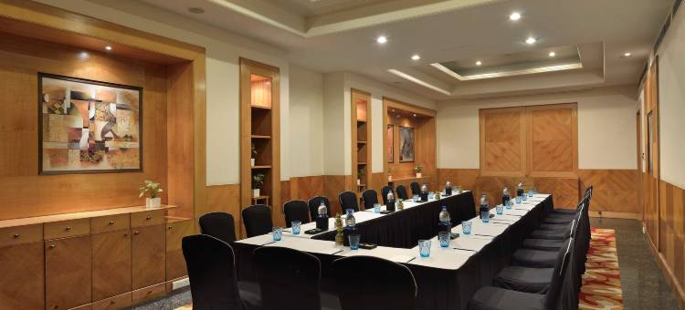 古尔冈丽亭酒店(Park Plaza Gurugram, India)图片