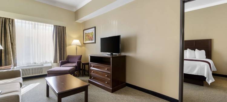 葡萄藤贝斯特韦斯特优质酒店(Best Western Plus Grapevine Inn)图片
