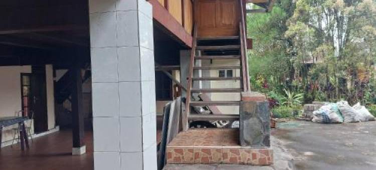 Mountain View Homestay图片