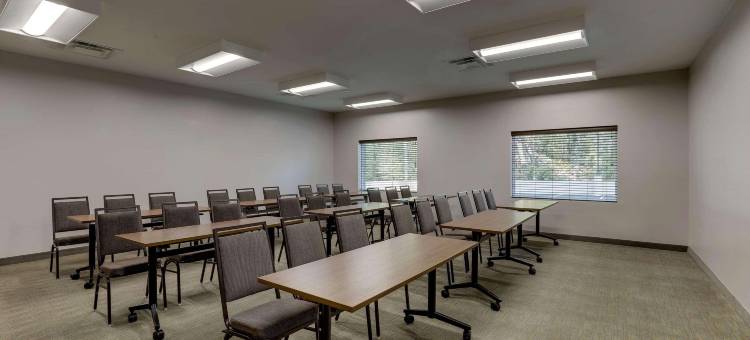 丽笙乡村旅馆及套房，卡明，靠近北方医院福赛斯(Country Inn & Suites by Radisson, Cumming, GA)图片