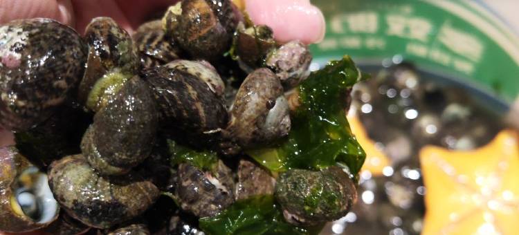 躺在床上看日出288公寓(海湾北路分店)图片