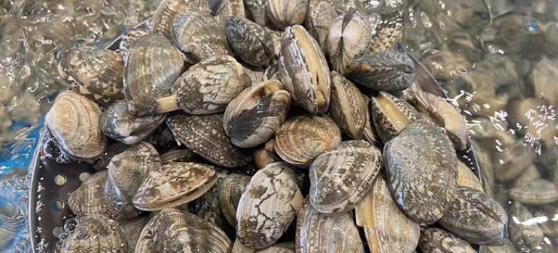 北戴河蔚蓝海岸三期J简北欧简约风客栈(华贸一路分店)图片