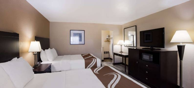 比格拉皮兹品质酒店及套房-近大学(Quality Inn & Suites Big Rapids Near University)图片