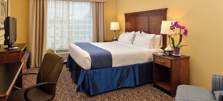 Holiday Inn 蒙哥马利机场南(Holiday Inn Montgomery Airport South)图片