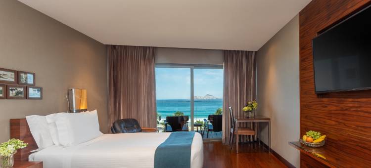 里约热内卢法萨诺酒店(Hotel Fasano Rio de Janeiro)图片