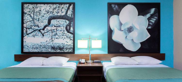 温德姆速8酒店布伦瑞克南/I-95(Super 8 by Wyndham Brunswick South/I-95)图片