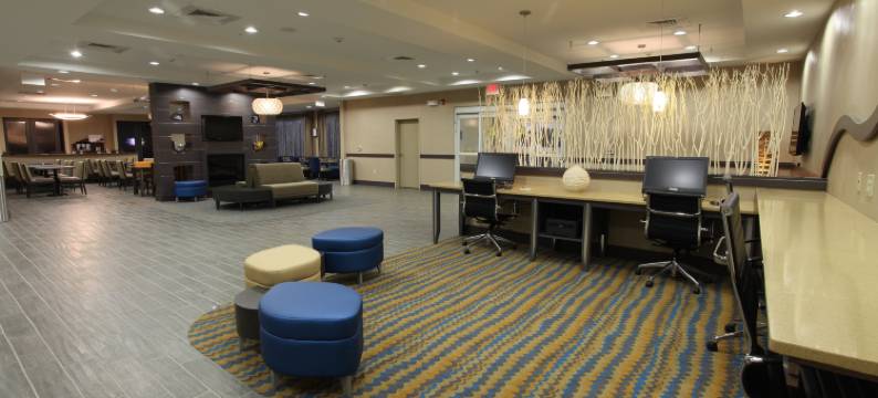 戈尔兹伯勒基地区智选假日套房酒店(Holiday Inn Express & Suites GOLDSBORO - BASE AREA by IHG)图片