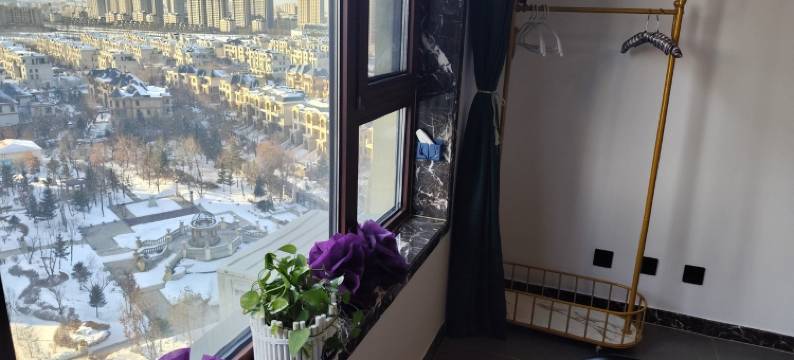 繁花公寓民宿(龙川路分店)图片