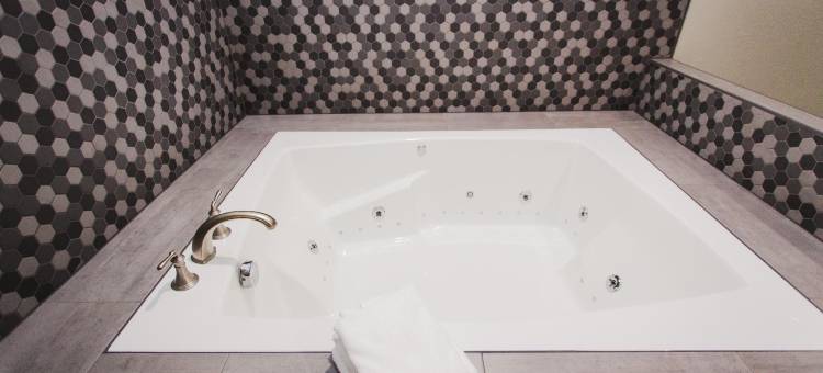 环城公路8号和西景宫殿酒店(Palace Inn Beltway 8 & Westview)图片