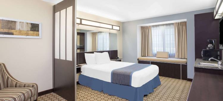 圣安吉洛麦客达套房酒店(Microtel Inn & Suites by Wyndham San Angelo)图片