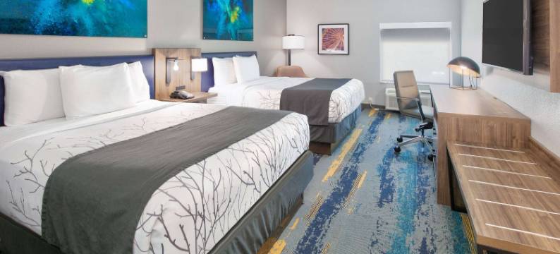 達拉斯费尔帕克温德姆拉昆塔套房酒店(La Quinta Inn & Suites by Wyndham Dallas/Fairpark)图片