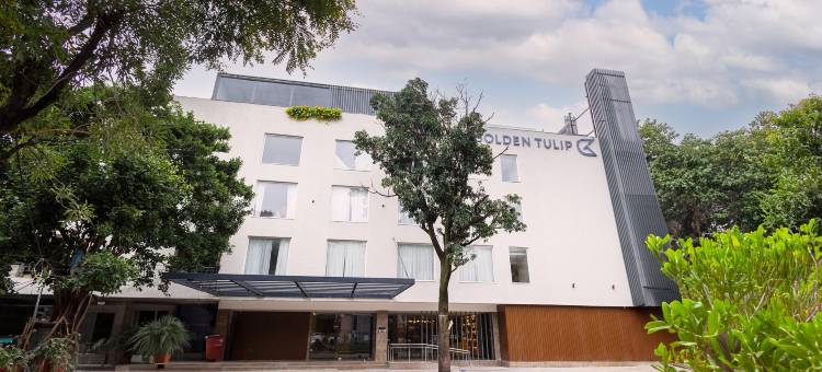 金色郁金香波泰尔(Golden Tulip Bhopal)图片