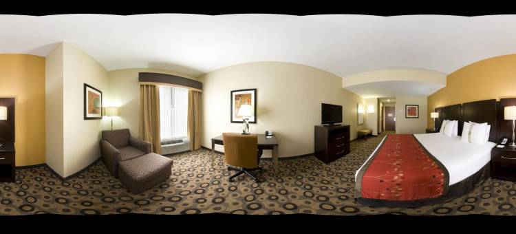 Holiday Inn 南海文中环 - 孟菲斯(Holiday Inn Southaven Central - Memphis)图片