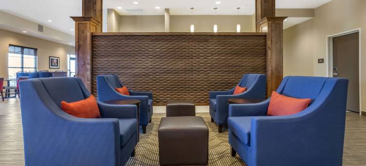 阿尔伯克基机场舒适套房酒店(Comfort Suites Albuquerque Airport)图片