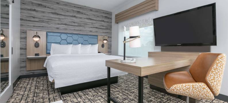 谢南多厄伍德兰希尔顿欢朋酒店(Hampton Inn & Suites by Hilton Shenandoah the Woodlands)图片