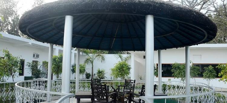 Dtr Jungle Hideaways图片