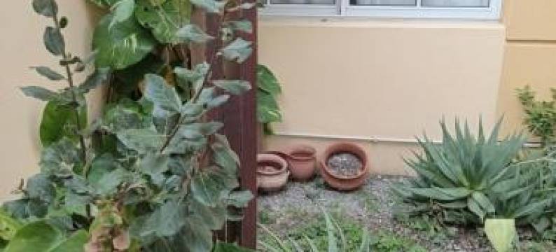 Hotel Gran Lido图片