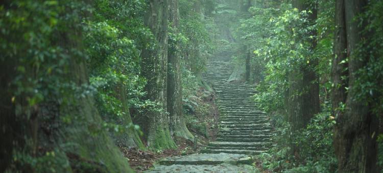 龟乃井酒店那智胜浦(KAMENOI HOTEL NACHI KATSUURA KUMANO KODO)图片