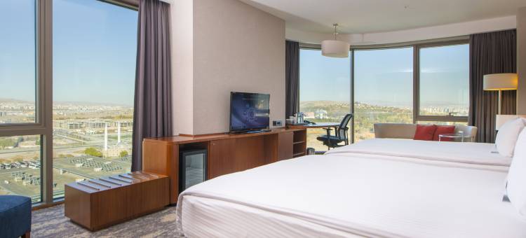 Crowne Plaza 开塞利, an IHG Hotel(Crowne Plaza Kayseri)图片