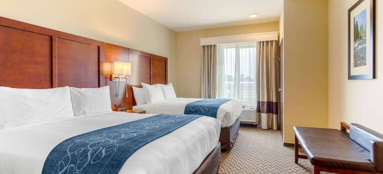 伯灵顿I-5附近舒适套房酒店(Comfort Suites Burlington Near I-5)图片