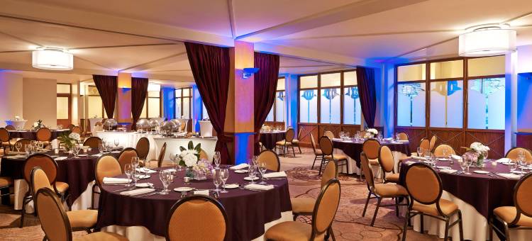 底特律诺维喜来登酒店(Sheraton Detroit Novi Hotel)图片