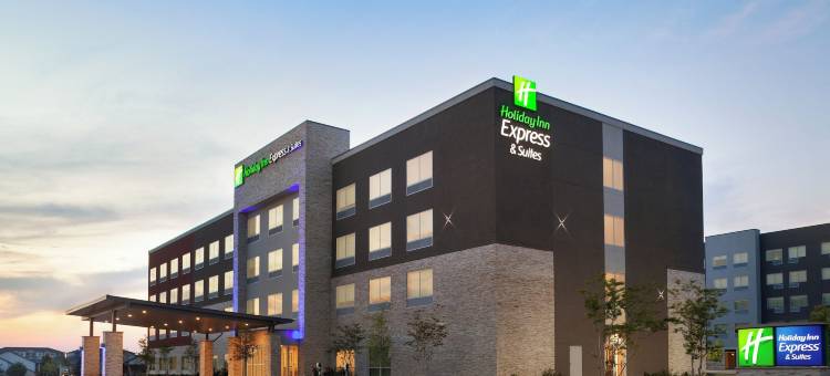 智选假日酒店及套房奥斯汀北 - 弗鲁格维尔 by IHG(Holiday Inn Express & Suites Austin North - Pflugerville)图片