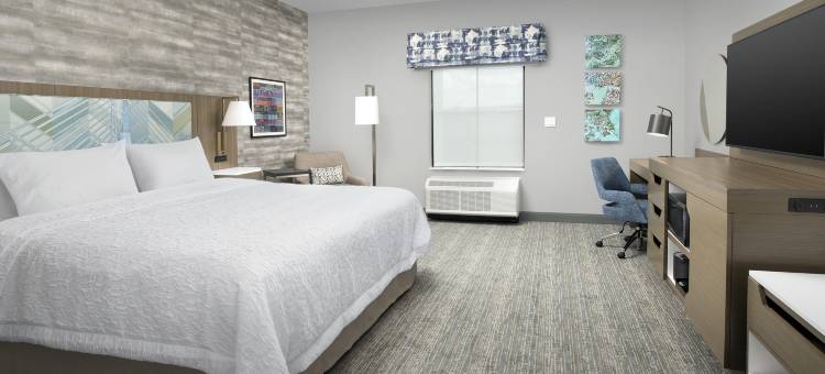 切尔西波士顿洛根机场欢朋酒店(Hampton Inn Boston Logan Airport Chelsea)图片