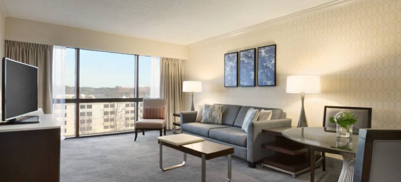 格林维尔希尔顿酒店(Hilton Greenville)图片