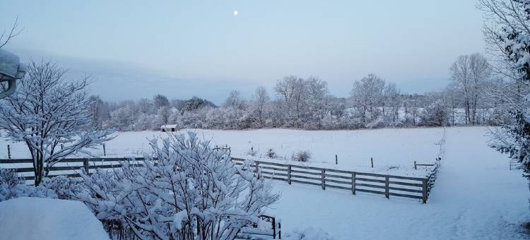 Heartland Country Resort Lodge - For All Your Special Family Gatherings图片