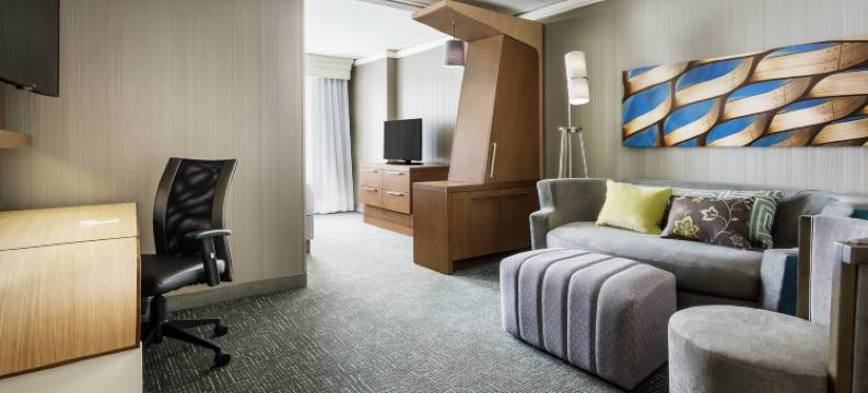 芝加哥市区壮丽大道万怡酒店(Courtyard Chicago Downtown/Magnificent Mile)图片