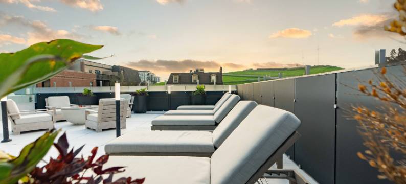 哈里法克斯萨顿广场酒店(The Sutton Place Hotel Halifax)图片