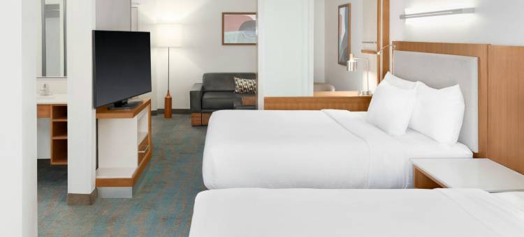 底特律奥本山万豪SpringHill酒店(SpringHill Suites Detroit Auburn Hills)图片