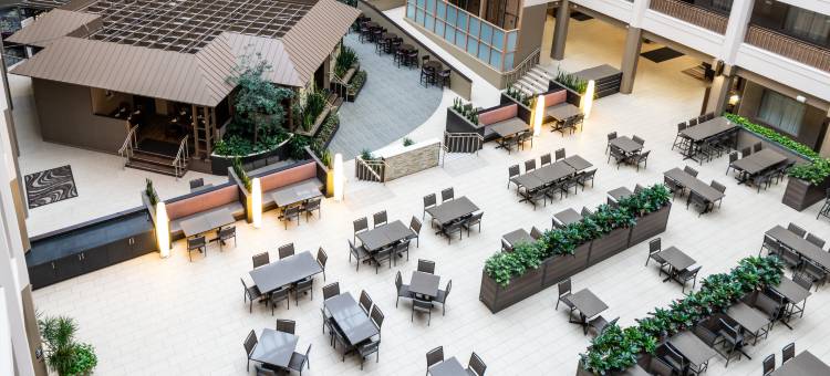 芝加哥北岸迪尔菲尔德希尔顿安泊套房酒店(Embassy Suites by Hilton Chicago North Shore Deerfield)图片