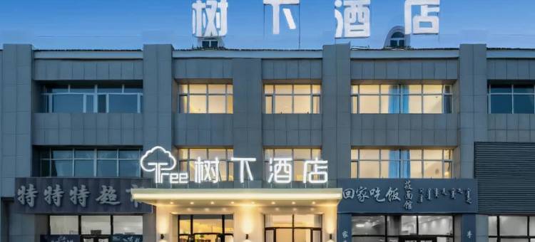 树下酒店图片