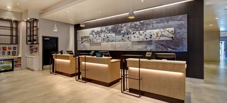 罗利达勒姆三角研究园希尔顿安泊酒店(Embassy Suites by Hilton Raleigh Durham Research Triangle)图片