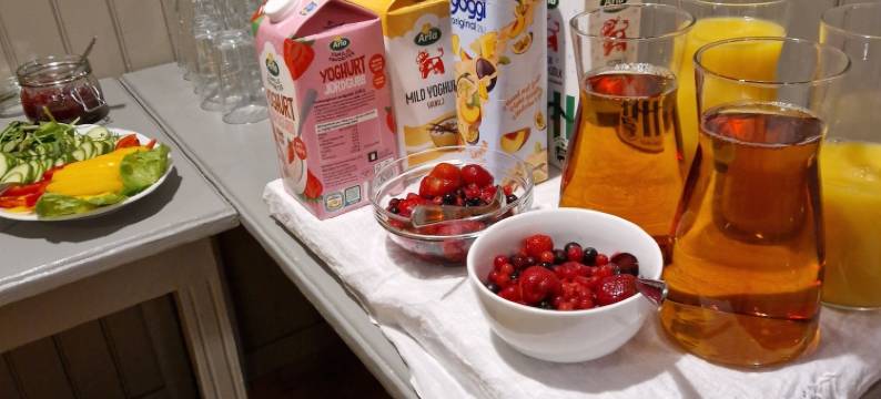 克罗珀山家庭旅馆(Kroppefjäll Bed & Breakfast)图片