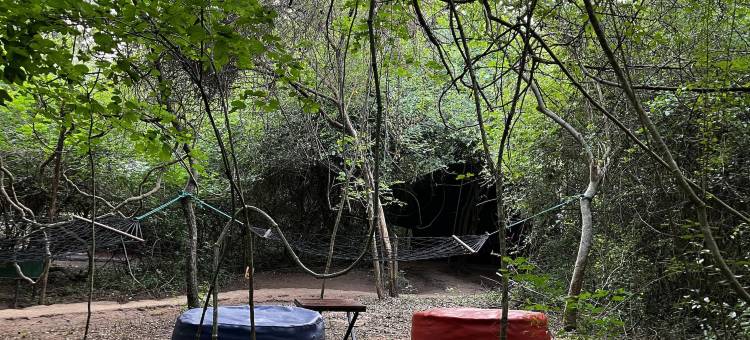 玛霍拉 - 韦帕图生态团队(Mahoora - Wilpattu by Eco Team)图片