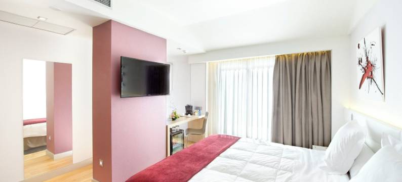 塞尔科蒂尔城·德米兰达酒店(Sercotel Ciudad de Miranda)图片