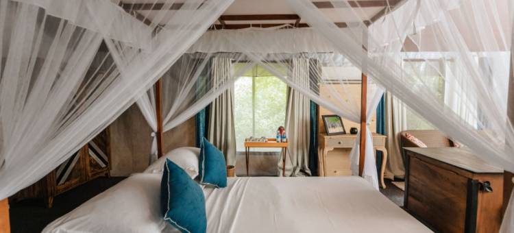 Tribe Yala - 豪华露营(Tribe Yala - Luxury Camping)图片