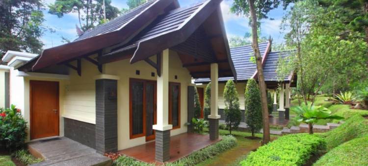 辛当瑞瑞特奇科勒(Sindang Reret Cikole)图片