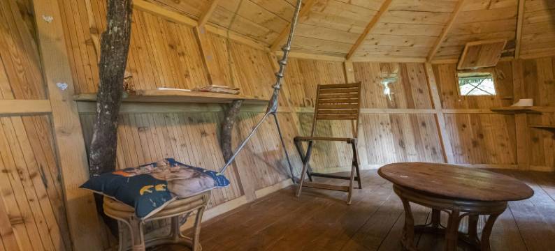 阿尔布雷卡巴内酒店(L'Arbre à Cabane)图片