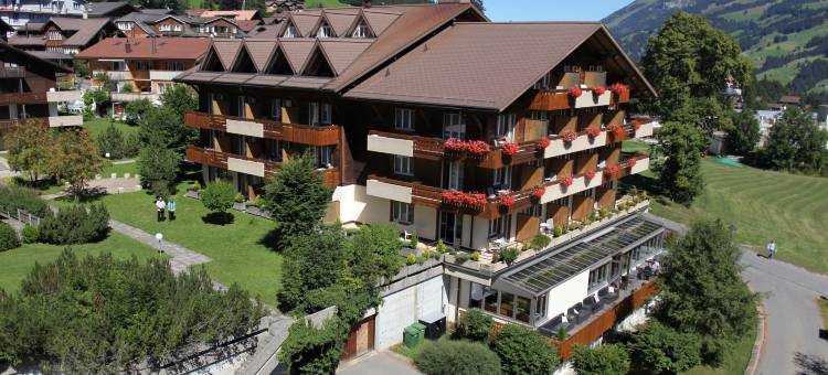 斯坦马蒂酒店(Hotel Steinmattli)图片