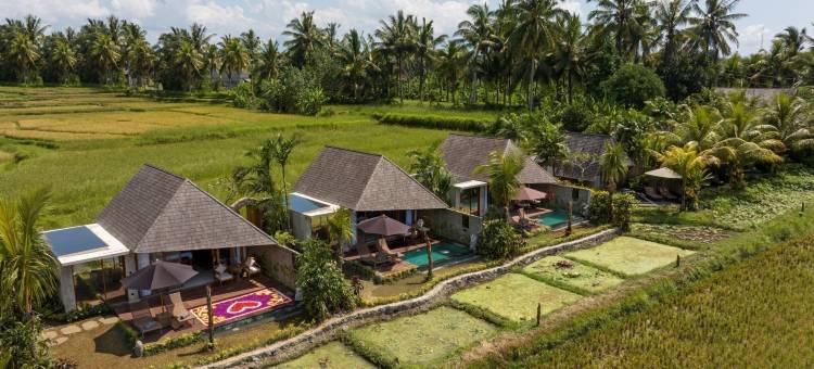 乌布拉萨玛纳别墅(Lasamana Villas Ubud by GenuineHost)图片
