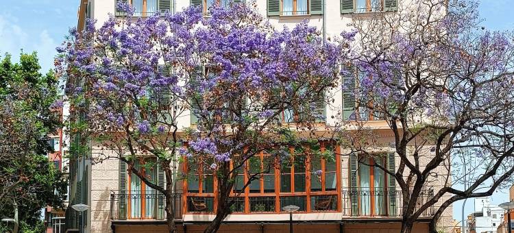 新巴利阿里酒店(NOU Baleares)图片