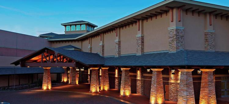 麦德威尔会议度假村及会议中心(MeadowView Conference Resort & Convention Center)图片