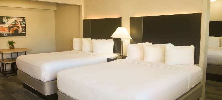 美国现代酒店(Americana Modern Hotel)图片