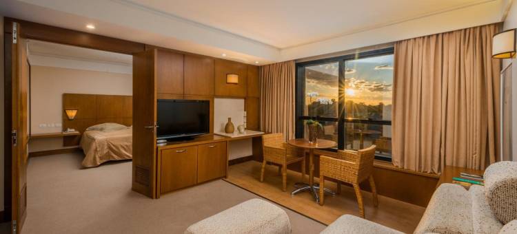 蓝树塔南卡希亚斯酒店(Blue Tree Towers Caxias do Sul)图片