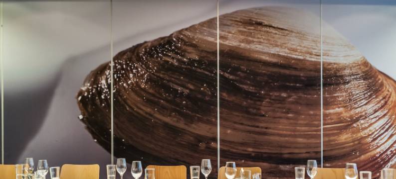 阿内维尔 - 米德尔堡弗莱彻餐厅酒店(Fletcher Hotel-Restaurant Arneville-Middelburg)图片